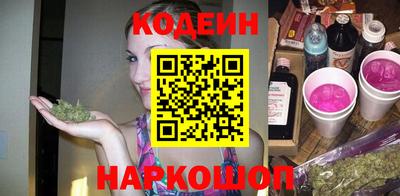 индика Можга