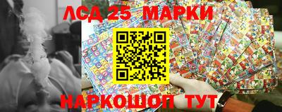 индика Можга