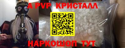 индика Можга