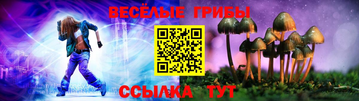 Южноуральск  Галлюциногенные грибы Cubensis  Псилоцибиновые грибы Psilocybine cubensis  Вход с VPN 