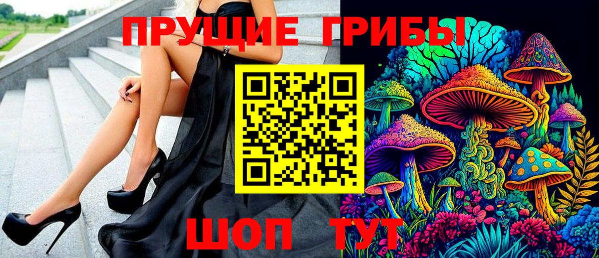 Псилоцибиновые грибы Psilocybe Южноуральск